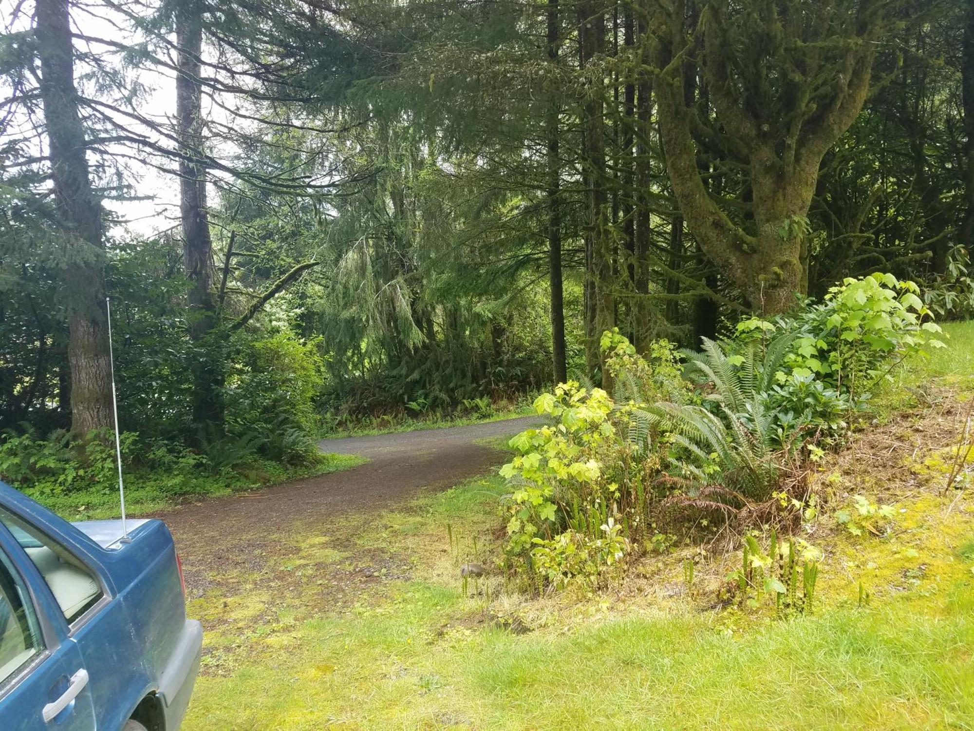 Hidefaraway 1 Queen 1 Full Beds For Same Price Sekiu Exterior photo