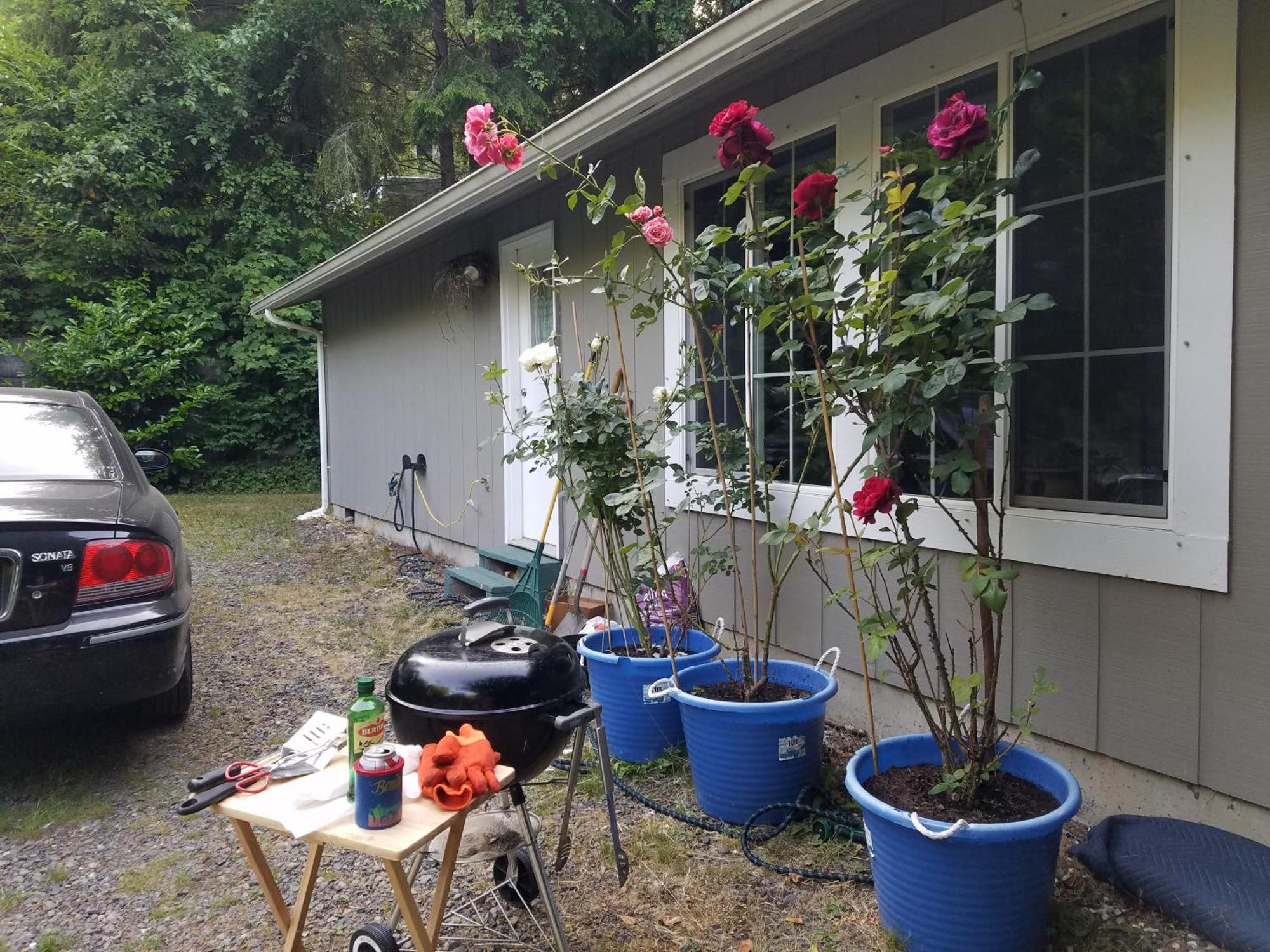 Hidefaraway 1 Queen 1 Full Beds For Same Price Sekiu Exterior photo
